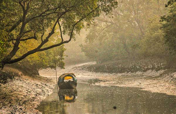 canal-in-sundarban