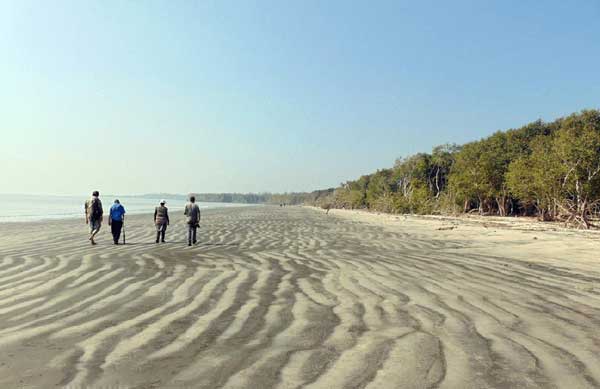 jamtola-sea-beach-sundarban