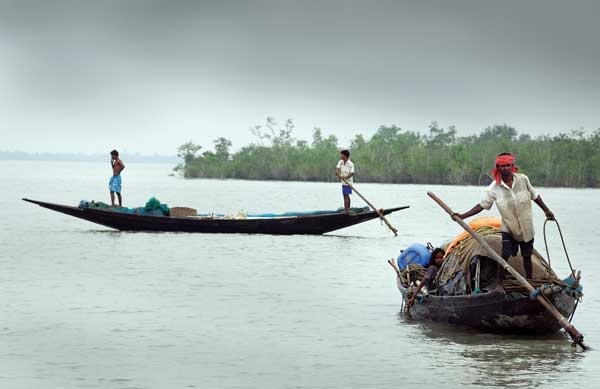 river-in-sundarban